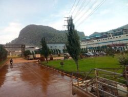 SMELTER: PELUANG, TANTANGAN, DAN DAMPAKNYA PADA HUKUM, LINGKUNGAN, SERTA PENERIMAAN NEGARA DAN DAERAH
