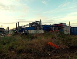 “KRISIS SMELTER DI INDONESIA: ANCAMAN BAGI LINGKUNGAN DAN PEREKONOMIAN DAERAH”