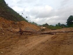 PENGELOLAAN REKLAMASI DAN PASCATAMBANG: PERSPEKTIF HUKUM, TRANSPARANSI LINGKUNGAN, DAN HAM