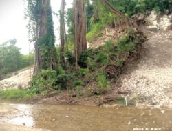RILIS INTERGREEN MEDIA:LEBIH DARI 31,848 JUTA HEKTAR HUTAN INDONESIA, ATAU 26,48% DARI TOTAL LUASNYA TERANCAM HILANG!