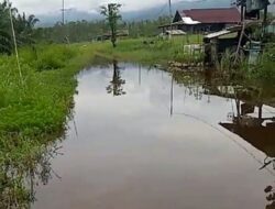LANGGANAN BANJIR UNTUK MASYARAKAT TRANSMIGRASI: PELAYANAN PUBLIK DESA BUNTA DAN DANA CSR, ADA DI MANA?