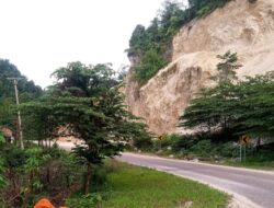 Uang Tambang yang Menguap di Morowali Utara