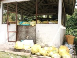 Anggaran Obat Miliaran, Limbah Medis Masih Abu-abu: RSUD Kolonodale di Bawah Sorotan