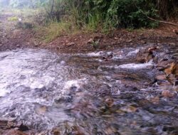 Perusahaan Smelter di Sulteng Diduga Gunakan Air Permukaan Tanpa Bayar Pajak, Potensi PAD Rp722 Juta Menguap