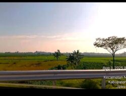 BPK Bongkar Cacat Peta Lahan Sawah Dilindungi, Ada Tanah Nonpertanian Ikut Masuk