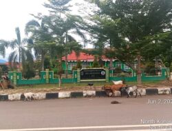 Sinergi Dana Desa dan SPHP, Konawe Utara Wujudkan Ketahanan Pangan dari Desa ke Nasional