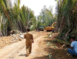 Dari Regulasi ke Realita: PP Mangrove 2025, Kasus Torete dan Buleleng Tunjukkan Runtuhnya Perlindungan Lingkungan di Daerah