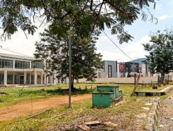 Kesehatan Global, Kesehatan Lokal